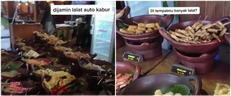 Cara Usir Lalat Dari Makanan Ampuh Cuma Pakai Satu Bumbu Dapur