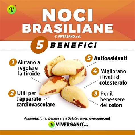 Noci Brasiliane Propriet Calorie Valori Nutrizionali E