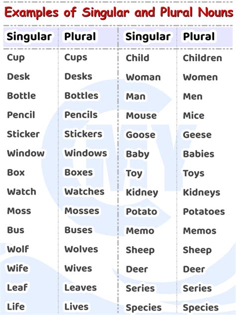 Singular And Plural Nouns In English Grammar Number