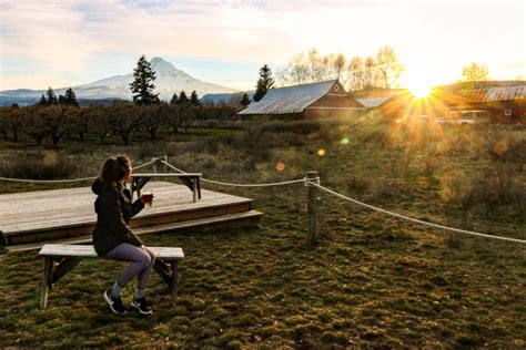 12 Best Views Of Mount Hood In And Around Mt Hood National Forest