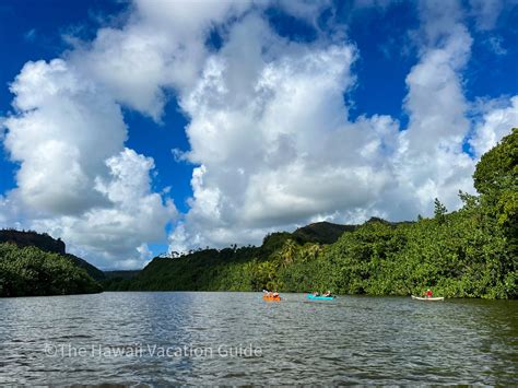 Wailua River Kayaking: Tours, Rentals, and Video