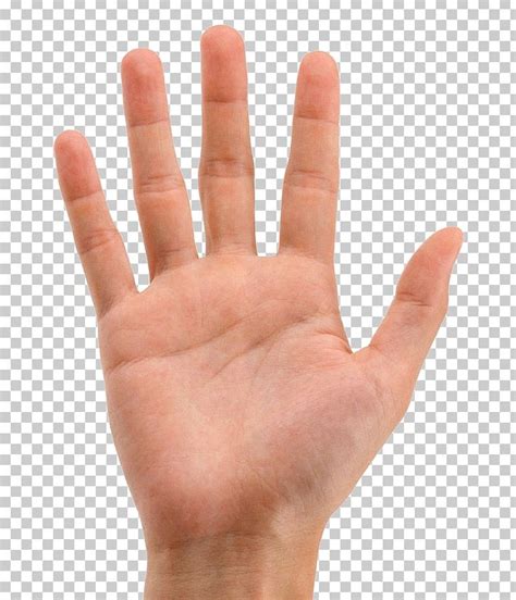 Hand Fingerprint Palmistry Png Clipart Arm Finger Fingerprint