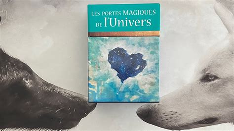 Les Portes Magiques De L Univers Oracle Lacavernedeloracle Youtube