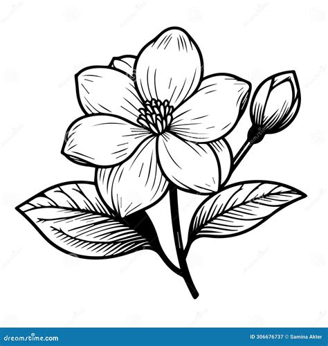 Tattoo Outline Water Lily Drawing Japanese Water Lily Tattoo Design