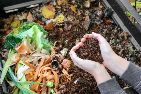 Free Compost Giveaway Vallejo Recycles