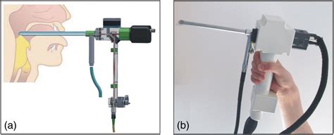 A Schematic Of The Handheld Oct Laryngoscope And Its Application On