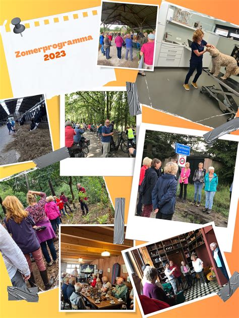 Zomerprogramma Riethoven Meer Riethoven