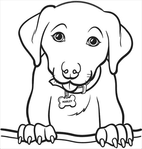 Labrador Coloring Pages - ColoringBay