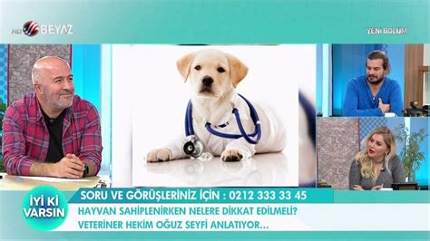 Hayvan Sahiplenirken Nelere Dikkat Edilmeli Televizyon Gazetesi