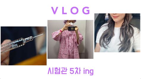 시험관vlog L 시험관5차 진행중 자라는게 더딘 난포 드디어 난자채취 기분전환 머리 바꾸기🥰 Youtube