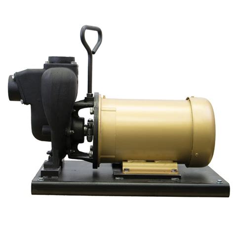 Cast Iron 2 Banjo Electric Motor Drive Pump Banjo Pumps