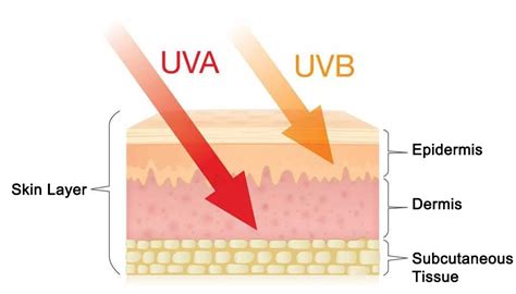 Long Wave UV Light UVA And It S Benefits