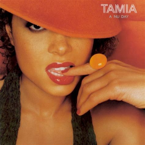 Stranger In My House By Tamia From The Album A Nu Day