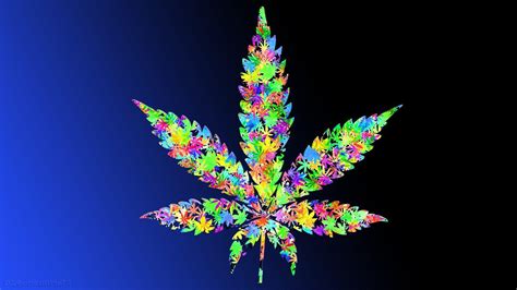 Hd Weed Widescreen 1080p Wallpapers Top Free Hd Weed Widescreen 1080p