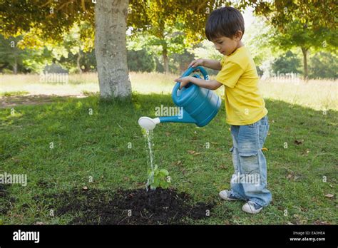 Young boy watering a young plant in park Stock Photo - Alamy