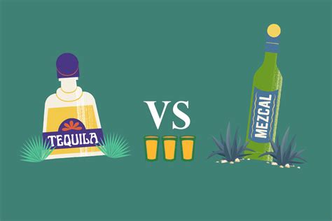 Tequila Vs Mezcal - Camel Financial, Inc.