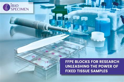 Human Ffpe Tissue Sample For Research In Usa