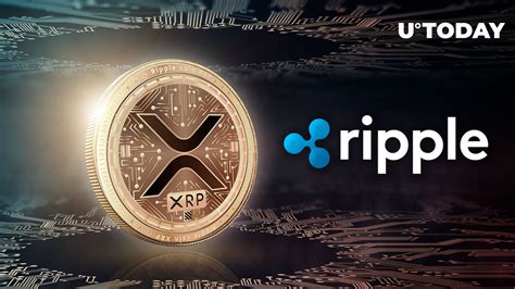 Almost 500 Million Xrp Shoveled In Last 24 Hours Ripple Giant Involved