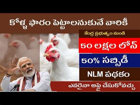 Nlm Scheme Poultry Loan Details National Livestock Mission