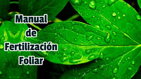 Manual De Fertilizaci N Foliar