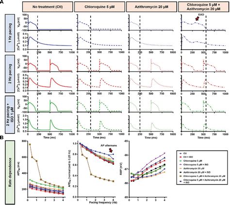 Figure From Beta Adrenergic Receptor Stimulation Modulates The