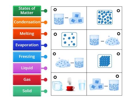 States Of Matter Labeled Diagram Th Th Grade Science