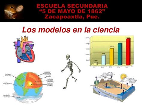 5 Ejemplos De Modelos En La Ciencia Nuevo Ejemplo