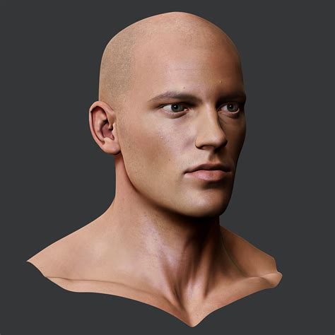 Realistic Male Head 3d Model 199 Max Ma Ztl Obj Fbx Free3d