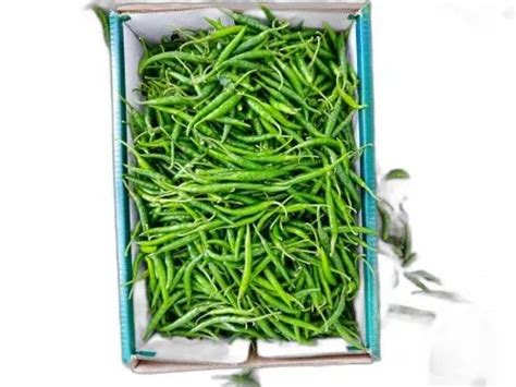 A Grade Export G Green Chilli Pan India Packaging Size Kg Nett