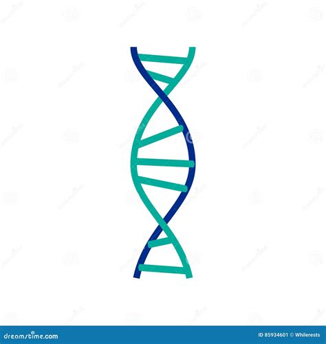 Muestra De La Mol Cula De La Dna Elementos Gen Ticos Y Filamento De La