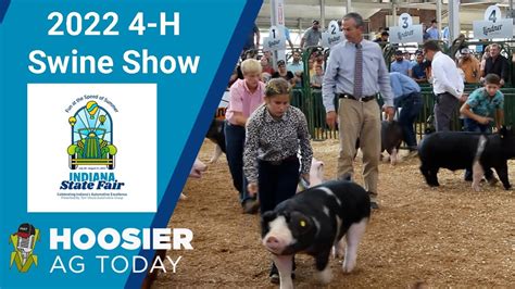 2022 4 H Swine Grand Champion Drive Indiana State Fair Youtube