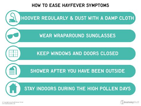 Hay Fever Symptoms And Treatments Anatomystuff