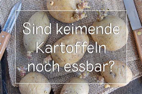 Kann Man Keimende Kartoffeln Noch Essen