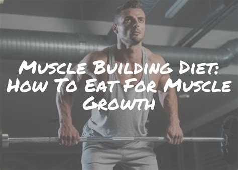 Muscle Building Diet: How To Eat For Muscle Growth - Aesthetic Physiques