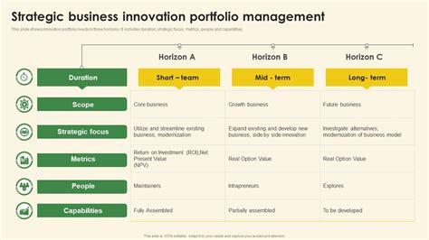 Strategic Business Innovation Portfolio Management Ppt Slide