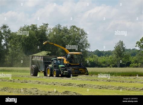 Harvesting Grass With Hay Or Silage Tractor And Trailer Stock Photo Alamy