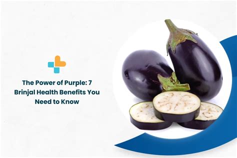 The Power of Purple: 7 Brinjal Health Benefits You Need to Know | by ...