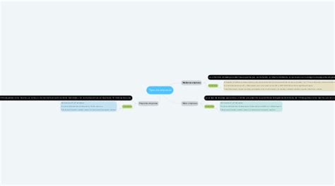 Tipos De Empresas Mindmeister Mapa Mental