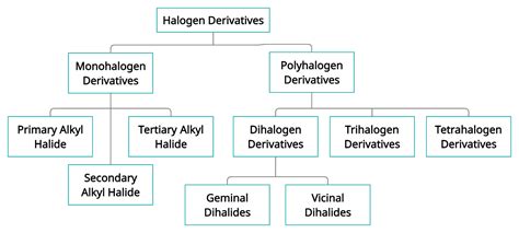 Haloalkanes Haloarenes Overview Structure Properties Uses