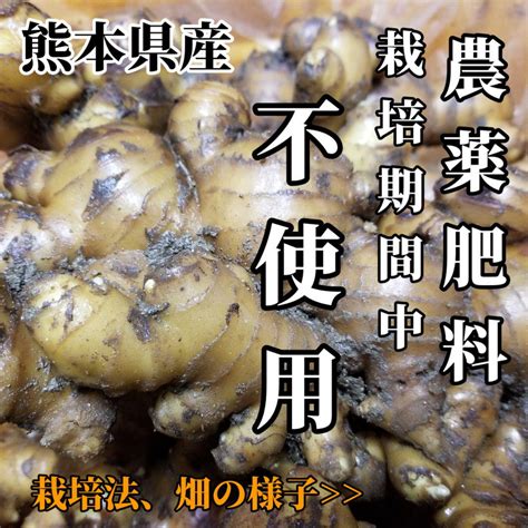 囲い生姜 無肥料 農薬栽培期間中不使用 露地栽培 熊本県産 1kg メルカリ