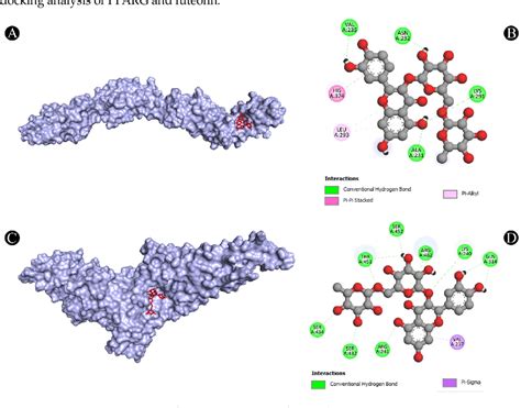 Figure 2 From Network Pharmacology Molecular Docking And Molecular