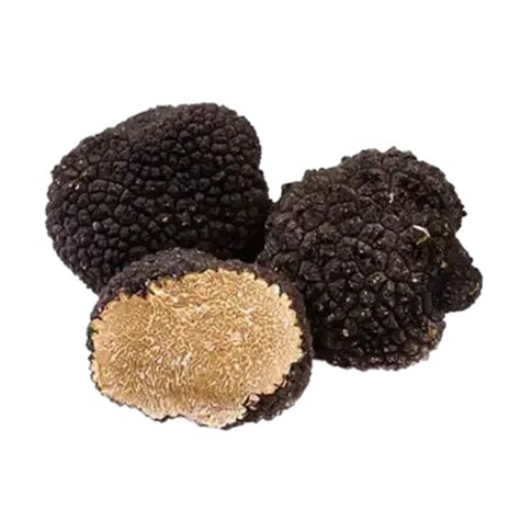 Scorzone Truffle Sassone Tartufi Intense Passion