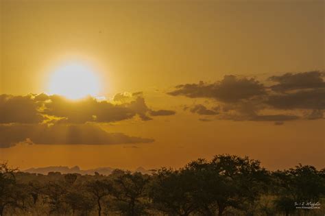 Safari Sunset – 5-12 iMagInG