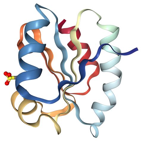 Thioredoxin Trx Protein Overview Sino Biological