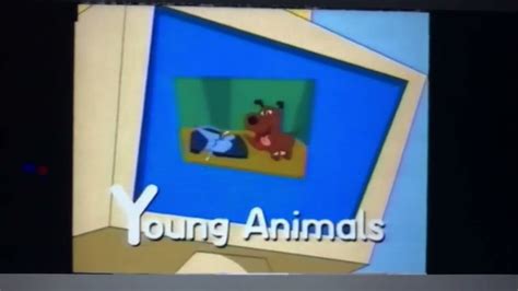 Playhouse Disney Stanley Promo A To Z Young Animals Youtube