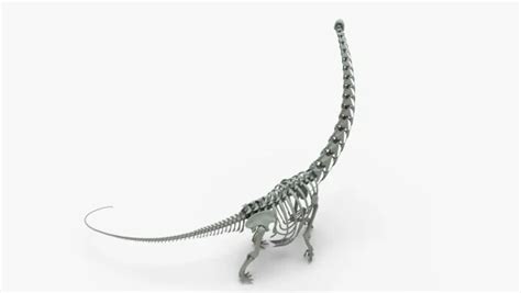 Argentinosaurus Rigged Skeleton 3D Model | Creature Guard