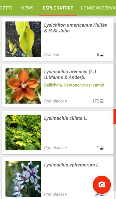 PlantNet Plant Identification App Android Su Google Play