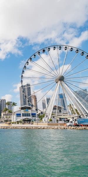 Miami Combo Visite en bus et croisière commentée dans la baie de