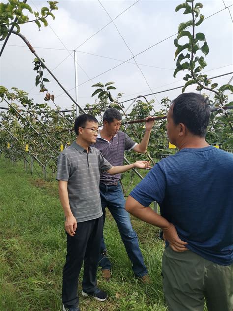 林果花卉研究所科技人员参加第四届全国梨产业发展学术交流会 甘肃省农业科学院 林果花卉研究所