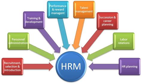 Components Of A Hr Diagram Hr Diagram